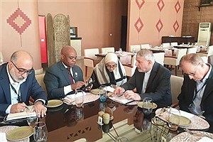 ایران به دنبال لغو روادید با کشور مصر است