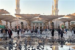 حج خویش را با زیارت رسول خدا (ص) تمام کنید