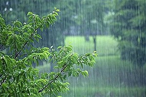 تنش دما در ۱۵ استان