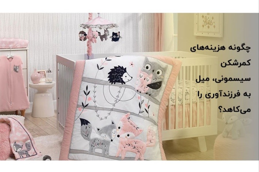 تصویر چگونه هزینه‌های کمرشکن سیسمونی، میل به فرزندآوری را می‌کاهد؟