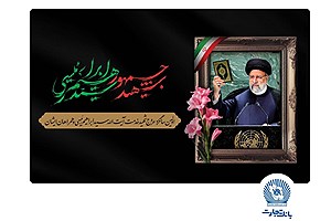 خادم‌الرضا بود، شهید خدمت شد