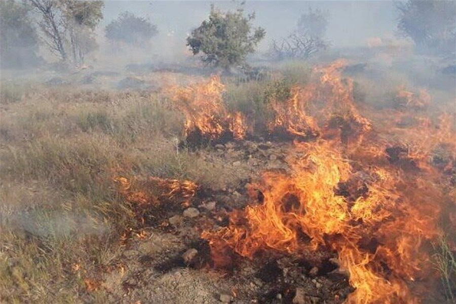 تصویر پارک ملی دز آتش گرفت