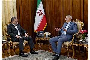 دیدار سفیر جمهوری اسلامی ایران در پاکستان با وزیر امور خارجه