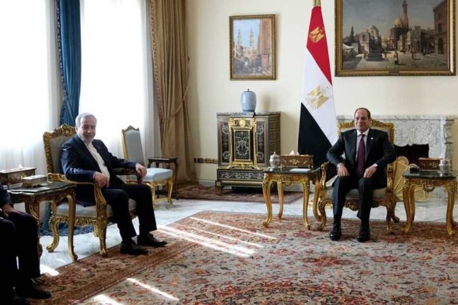 تصویر عراقچی با رئیس جمهور مصر دیدار کرد