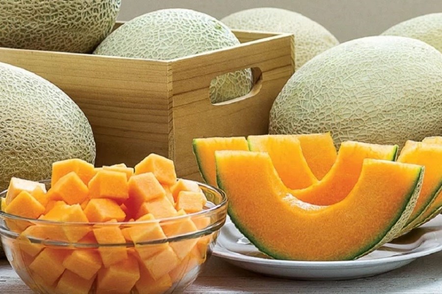 تصویر آیا ملون میوه‌ای تراریخته و مضر برای سلامتی است؟
