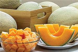 آیا ملون میوه‌ای تراریخته و مضر برای سلامتی است؟