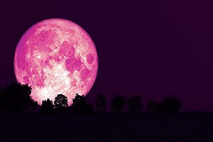 ماه صورتی را از دست ندهید