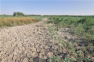 هورالعظیم در آستانه بحران زیست‌محیطی&#47;عکس