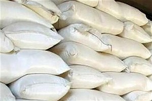 بوی قاچاق از نیسان آبی در تاکستان!توقیف محموله بزرگ آرد خارج از شبکه در تاکستان