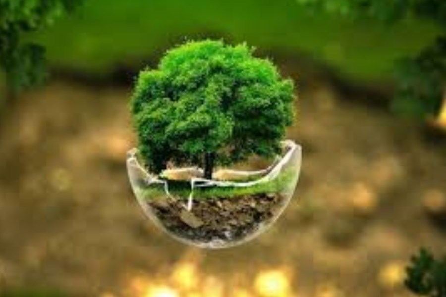 تصویر پایش لحظه‌ای منابع طبیعی گیلان با دوربین‌های متصل به مرکز مانیتورینگ