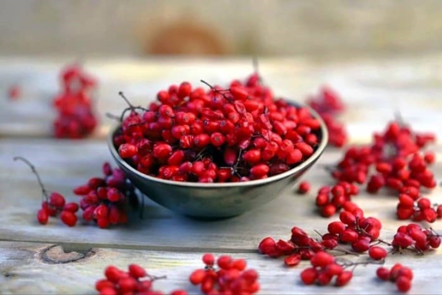 تصویر گنجینه‌ای سرخ با خواص شگفت‌انگیز