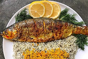 نوع ماهی مصرفی در سلامت و طول عمر اهمیت دارد