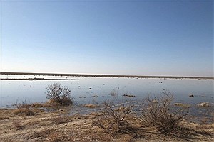 هیچ اثری از آرسنیک و سیانور در هوای تهران و تالاب بندعلی‌خان وجود ندارد
