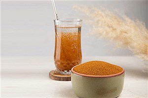 رازهای درمانی خاکشیر از نگاه طب ایرانی