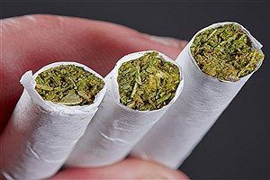 شگرد عجیب قاچاقچیان برای عبور مواد از مرز: جاسازی گل در فلفل&#47; جزئیات