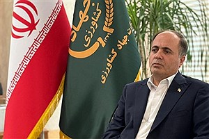 کاهش ۳۰۰ هزار تنی تولید برنج ایرانی با اجرای الگوی کشت