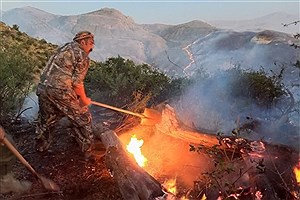 ۷ هکتار از پوشش گیاهی پارک ملی تندوره در آتش سوخت