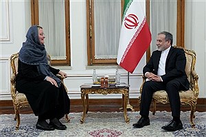 نماینده یونیسف در ایران با عراقچی دیدار کرد