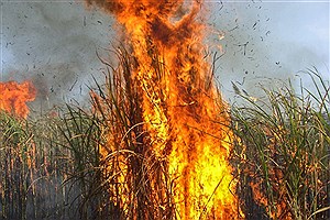 تداوم عملیات آب‌پاشی با هواپیمای آب‌پاش روی تالاب هورالعظیم