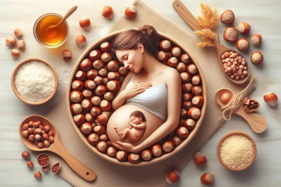 تصویر خواص مغذی فندق در دوران بارداری و فواید آن برای جنین