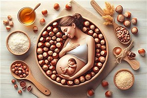 خواص مغذی فندق در دوران بارداری و فواید آن برای جنین