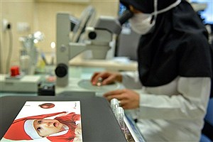 ابهام در سرنوشت جنین‌های IVF بیمارستان آبان؛ ماجرا به دادسرا کشید