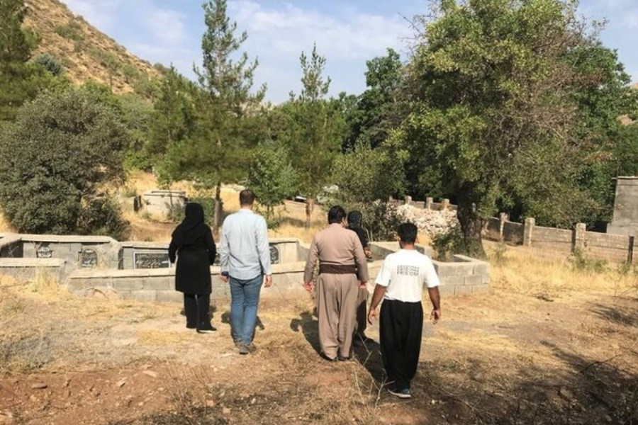 تصویر ثبت ملی گورستان تاریخی و درختان هزارساله شمشیر پاوه