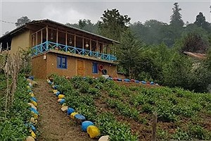 پسماند روستاهای گیلان؛ کمپوست یا زباله‌سوز؟