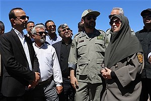 یوز آسیایی در خطر انقراض قرار دارد