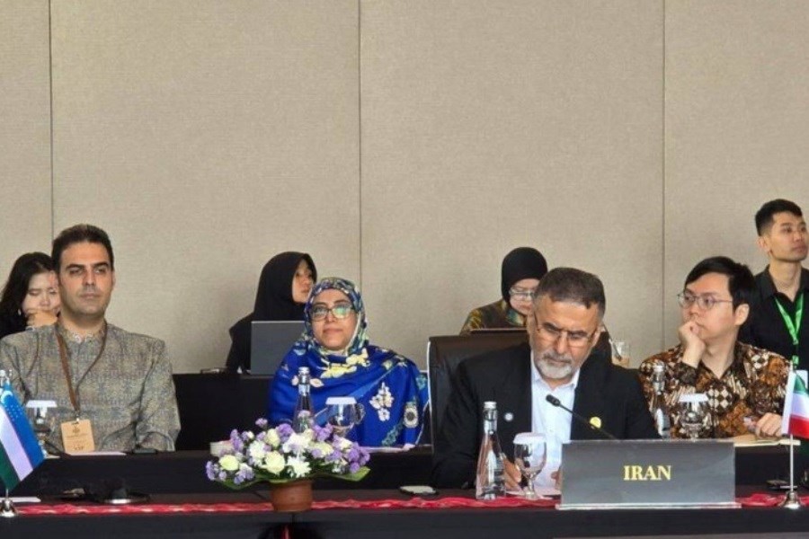 تصویر ایوبی: فرهنگ و هنر، سرمایه راهبردی صلح جهانی است