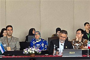 ایوبی: فرهنگ و هنر، سرمایه راهبردی صلح جهانی است