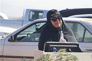 قزوین؛ گذرگاه ۱۴ استان و پایگاه تازه تجارت زیتون ایران است