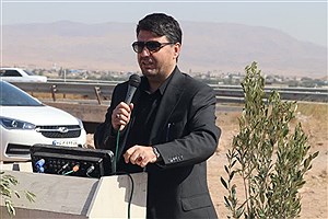 مرکز تجارت زیتون؛ سرمایه‌گذاری موفق در اقتصاد پایدار است
