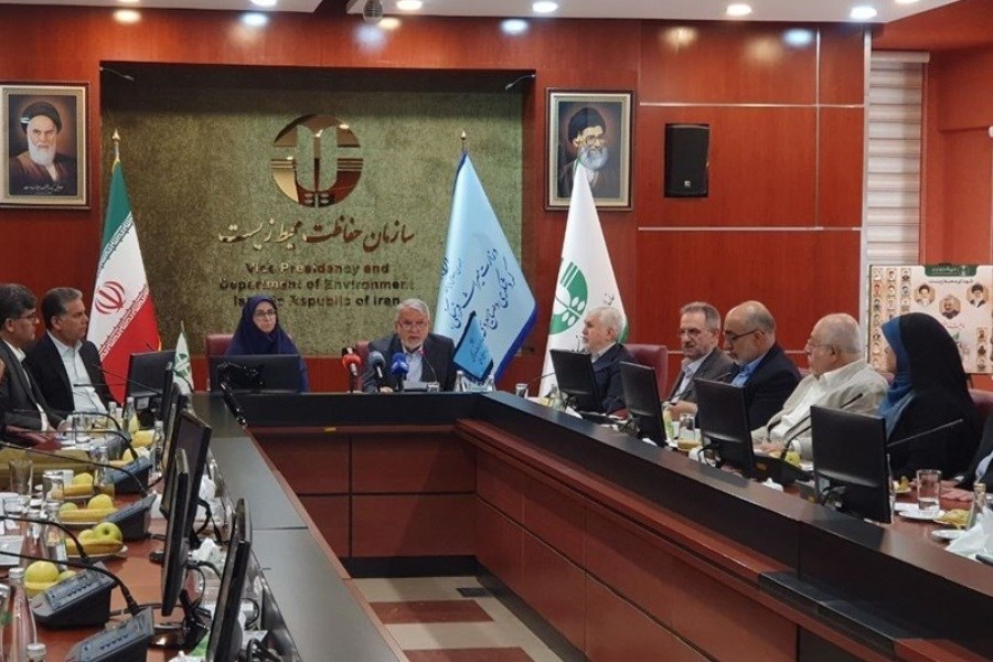 تصویر صالحی امیری: فرونشست میراث تاریخی ایران را می‌بلعد