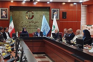 صالحی امیری: فرونشست میراث تاریخی ایران را می‌بلعد