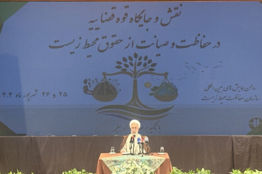 تصویر مسئولان با قاطعیت در برابر تخریب منابع طبیعی بایستند