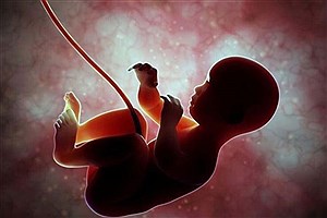 دلایل اصلی سقط‌های عمدی و طبیعی در ایران اعلام شد
