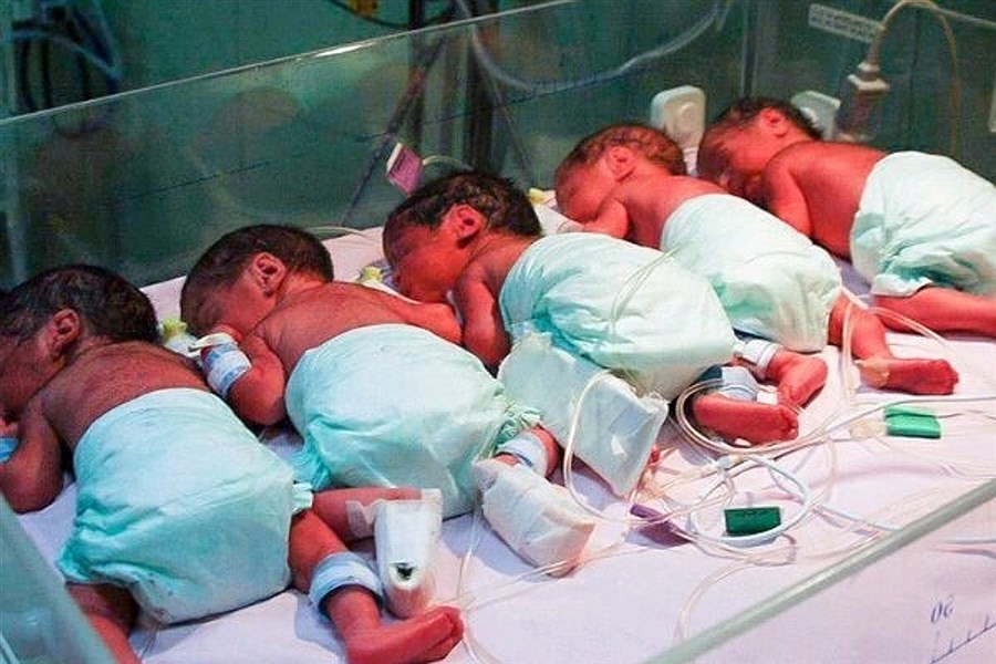تصویر پنجمین بارداری، پنج فرزند؛ زن جوان کرمانی مادر پنج‌قلو شد
