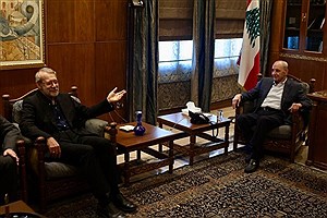 لاریجانی با نبه بری دیدار کرد