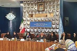 صالحی امیری: زنان حق دارند نیمی از ظرفیت دولت را مدیریت کنند