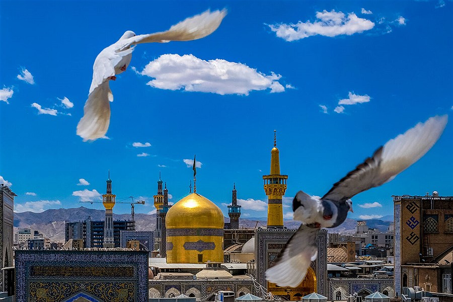 تصویر امام حسن عسکری(ع) الگویی تمام عیار در کار تشکیلاتی