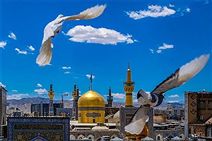 امام حسن عسکری(ع) الگویی تمام عیار در کار تشکیلاتی