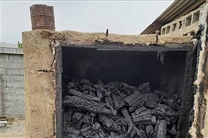 فعالیت کوره‌های زغال غیرمجاز در سراگاه با ورود دستگاه قضا پایان یافت