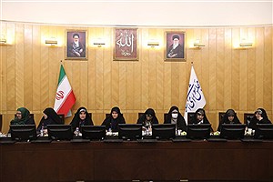 بررسی لوایح زنان و پیوست‌های امنیتی در جلسه فراکسیون زنان با وزیر اطلاعات
