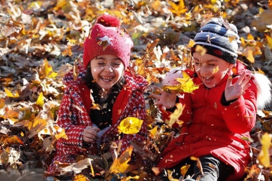 تصویر تطبیق بدن با پاییز؛ راهکارهای سنتی برای پیشگیری از حساسیت فصلی