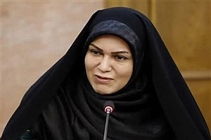 لایحه منع خشونت علیه زنان را به نتیجه می‌رسانیم
