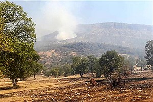 آتش‌سوزی گسترده در تنگه رازیانه ایلام
