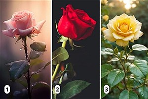 با این تست، شخصیت واقعی خود را کشف کنید