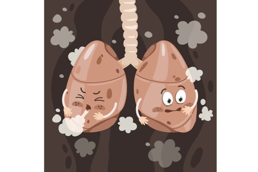 تصویر ریه‌هایی مقاوم‌تر با چهار وعده میوه در روز