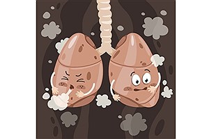 ریه‌هایی مقاوم‌تر با چهار وعده میوه در روز